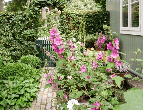 Romantische tuin