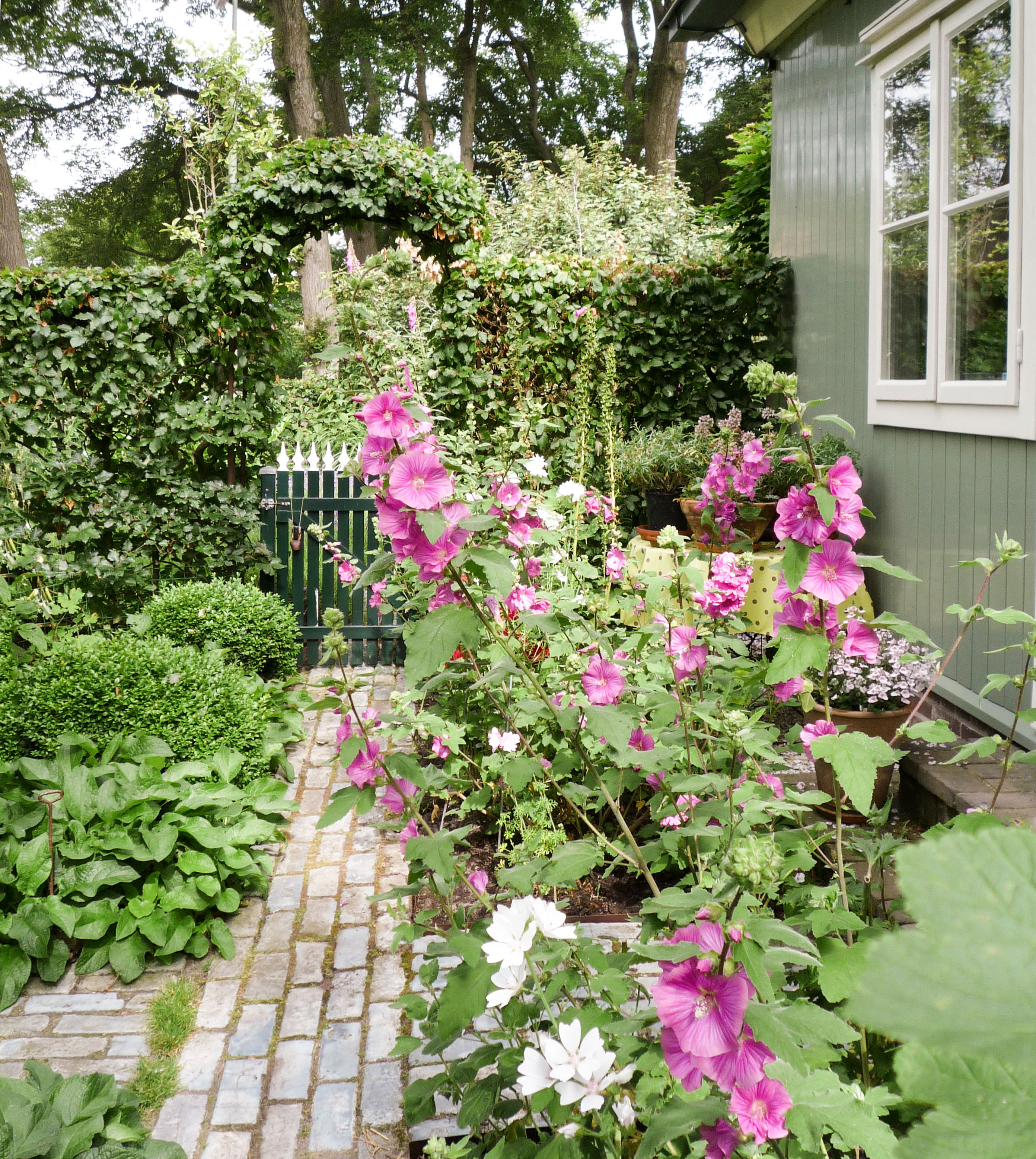 Romantische tuin